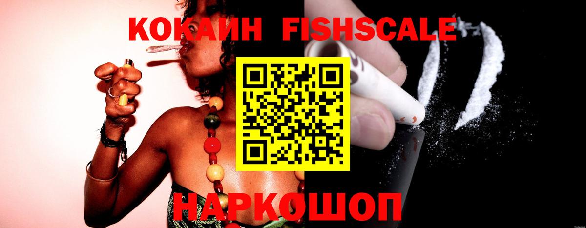 Cocaine FishScale  Вход с VPN  КОКАИН  Зима  Cocaine VHQ 