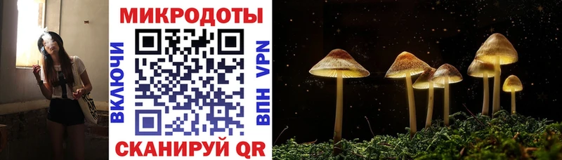 blacksprut   купить наркотики сайты  Зима  Галлюциногенные грибы мухоморы 