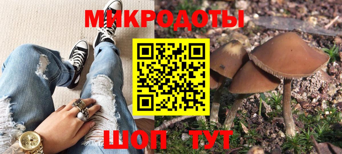 Псилоцибиновые грибы мухоморы  Псилоцибиновые грибы Psilocybe  Вход с VPN  Зима 